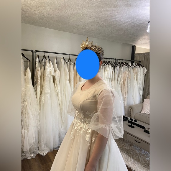 Custom Wedding Dress! Soft Blush w/Tulle Overlay, Sleeve (modest, LDS) - Picture 2 of 14